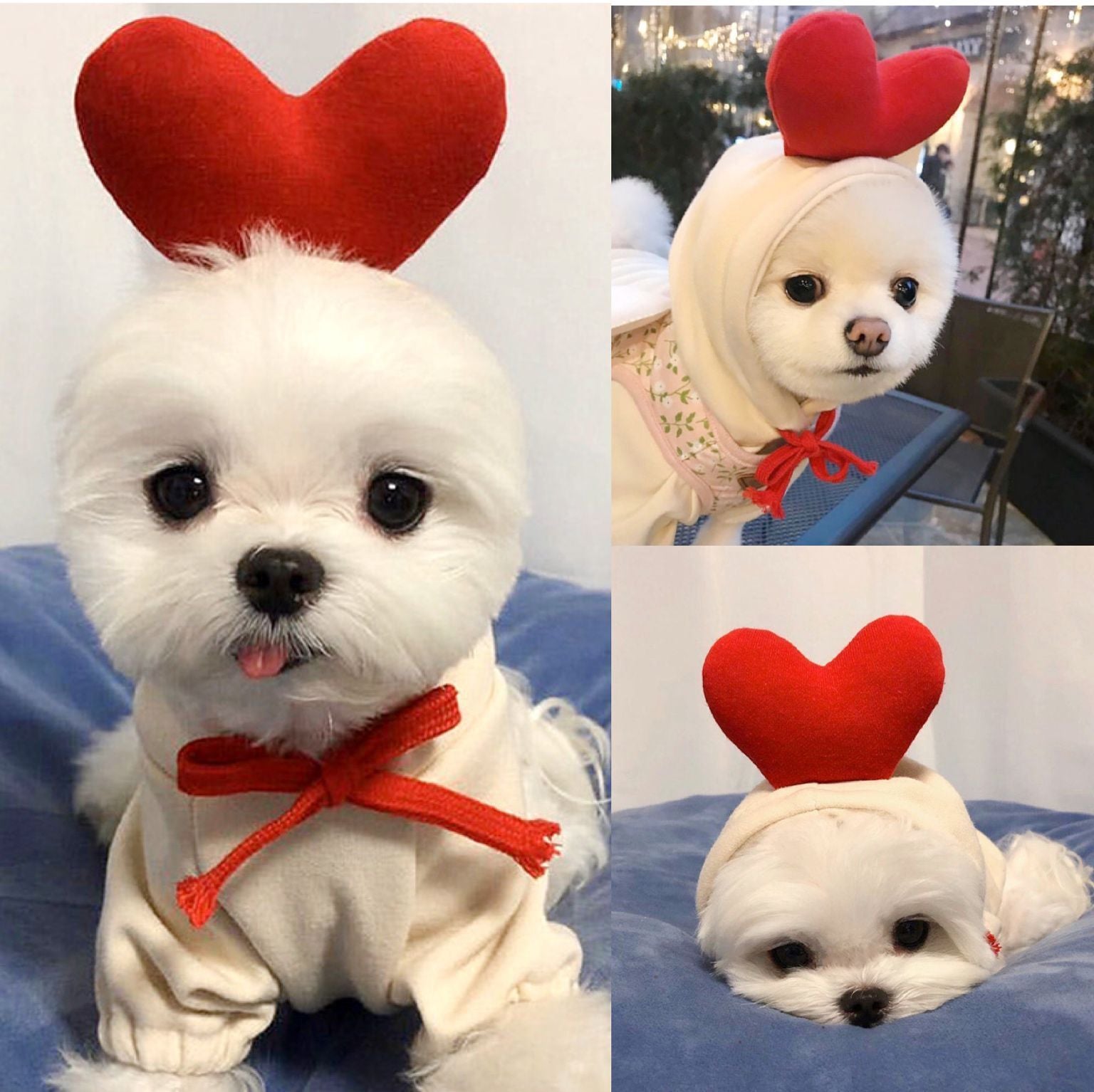 Cute Fruit Dog Clothes For Small Dogs Hoodies Winter Warm Fleece Pet Clothing Puppy Cat Costume Coat For French Chihuahua Outfit Secondary image