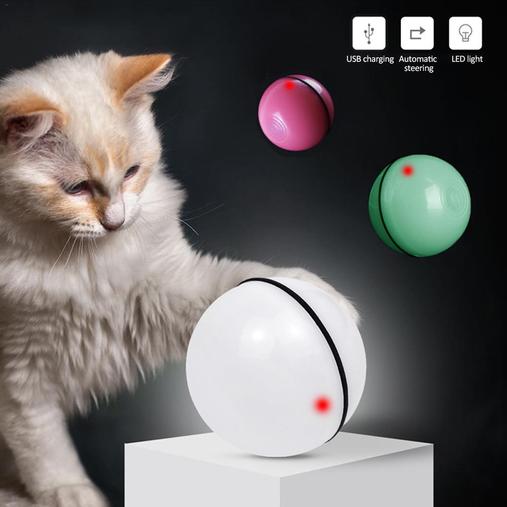 Cat engaging with a rechargeable LED rolling toy ball